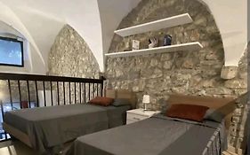 Narnia Loft
